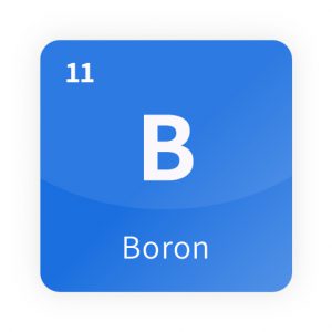 AMT - Stable Isotopes_Boron 11