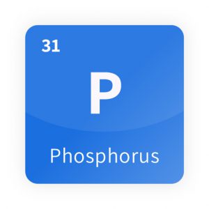 AMT - Stable Isotopes - Phosphorus (P) 31