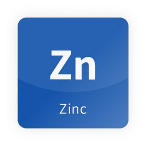 AMT - Stable Isotopes - Zinc (Zn)